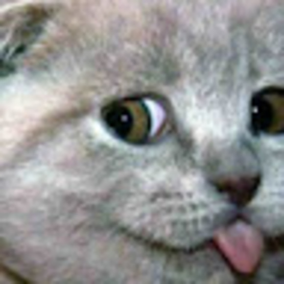 Meet your Posher, Annette - Picture 1 of 1